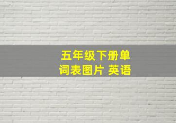 五年级下册单词表图片 英语